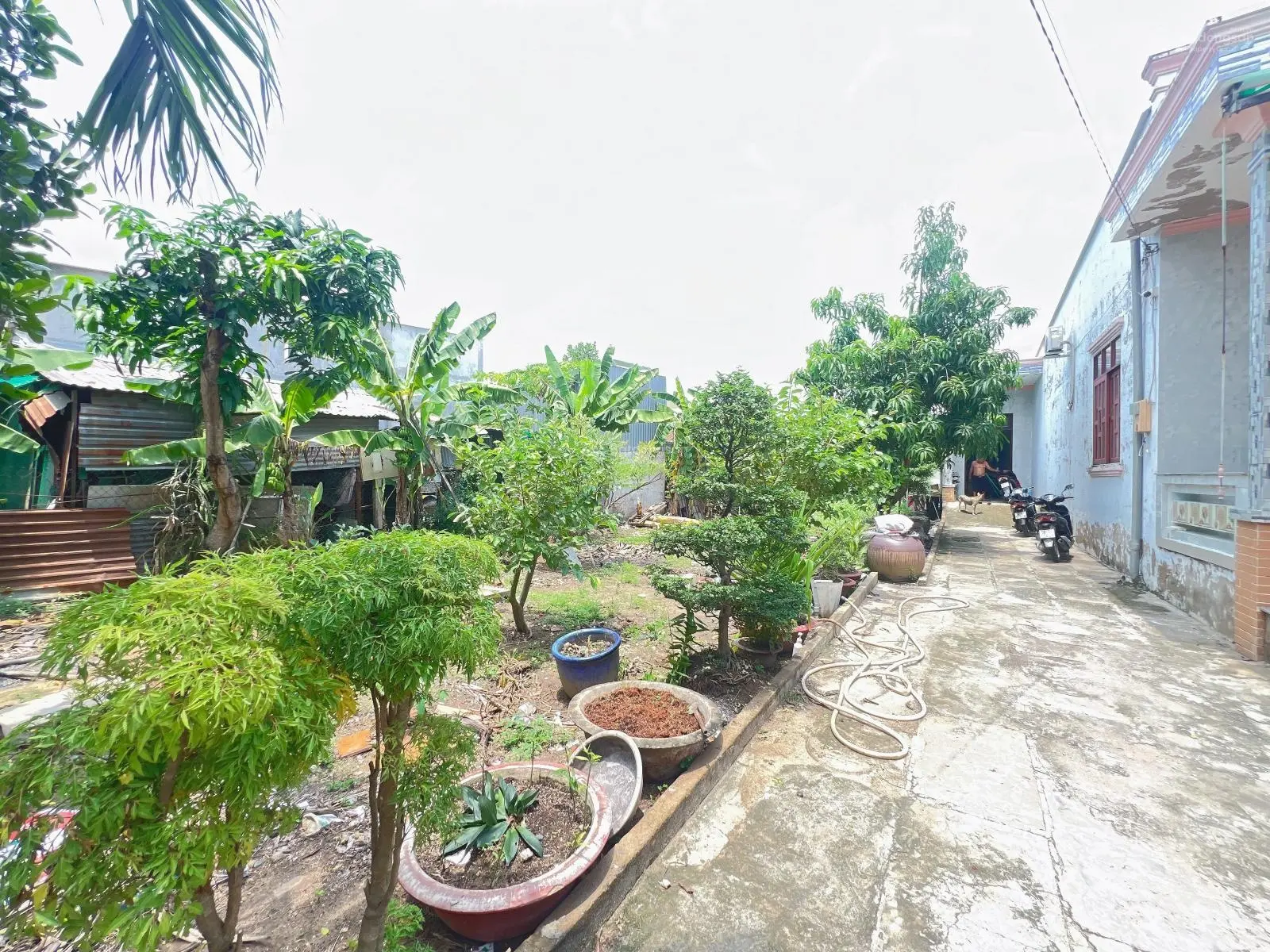 Bán Nhà Biệt Thự Vườn 622m có 551m2 Thổ, Đường Lê Văn Lương, Nhà Bè 17m x 36,6m Nhỉnh 13 Tỷ.