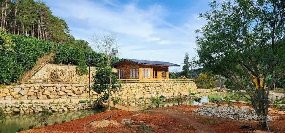 Cần bán gấp farmstay view đẹp tại xã Xuân Thọ, Đà Lạt 9000m2 thích hợp KD farmstay hoặc camping