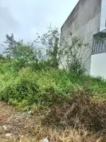 Lô đất 70m2 full thổ cư / hẻm ô tô / đường phạm thế hiển - p7 - q8 cần bán gấp ngay trong tuần