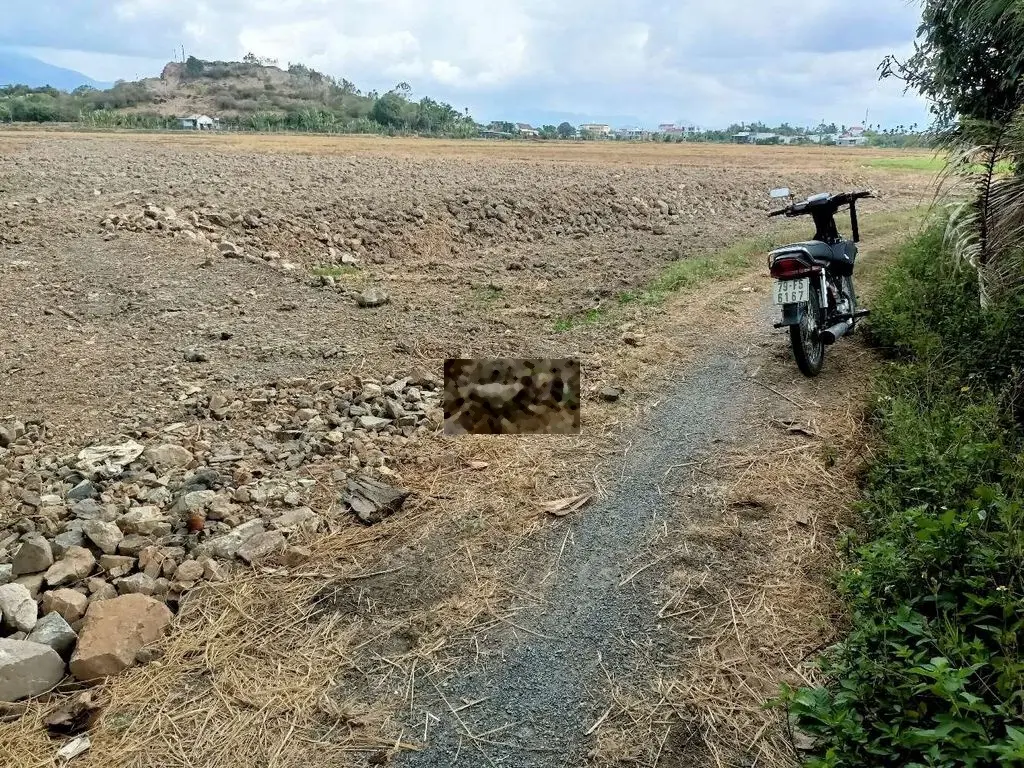 Chính Chủ Bán Lô Đất 950m2 ODT TDP Thanh Châu, Ninh Giang, Ninh Hoà.