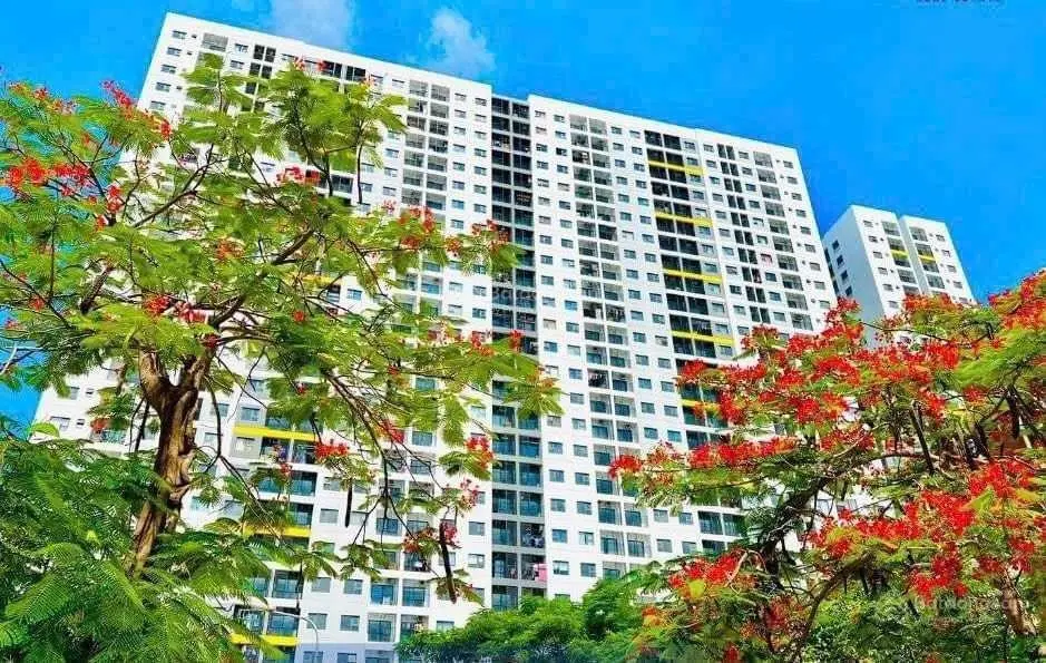 Bán căn hô Legacy Tại Bình Dương giá đầu tư
