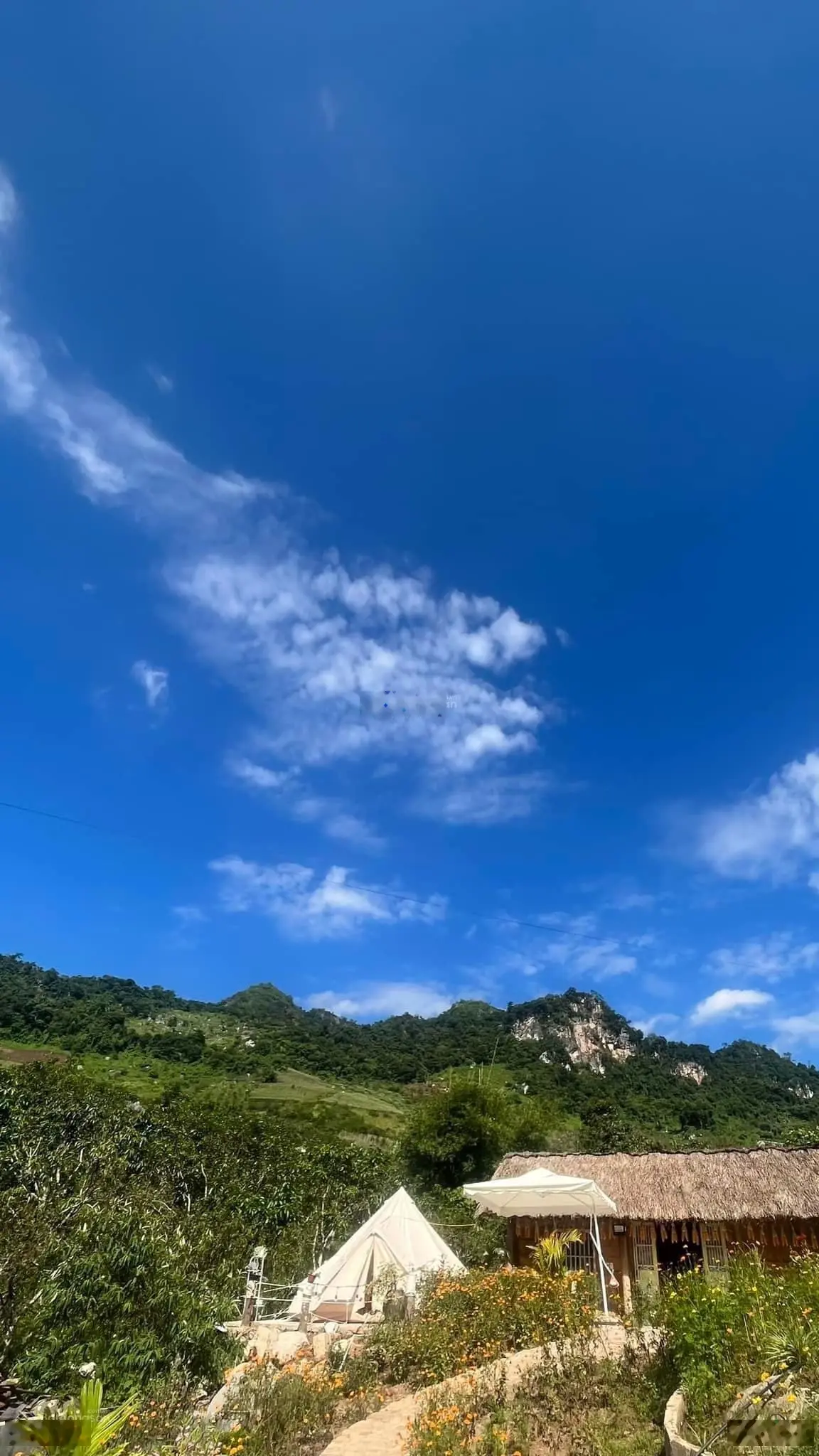 Bán Homestay xinh đẹp có 5 căn bungalow 2 nhà đất kiểu Mông đang kinh doanh hiệu quả