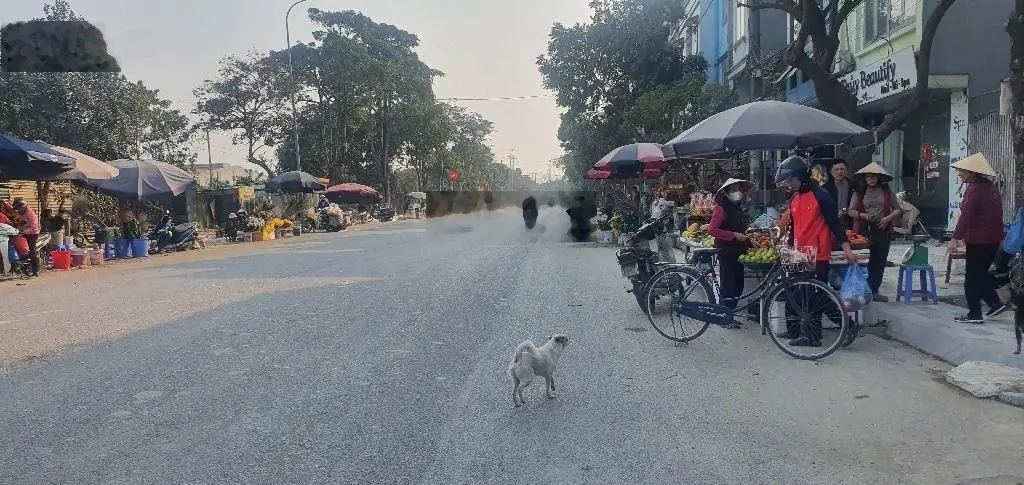 Bán nhà 4 tầng xây mới - trung tâm Đông Anh - ô tô đỗ cổng - 3 tỷ hơn