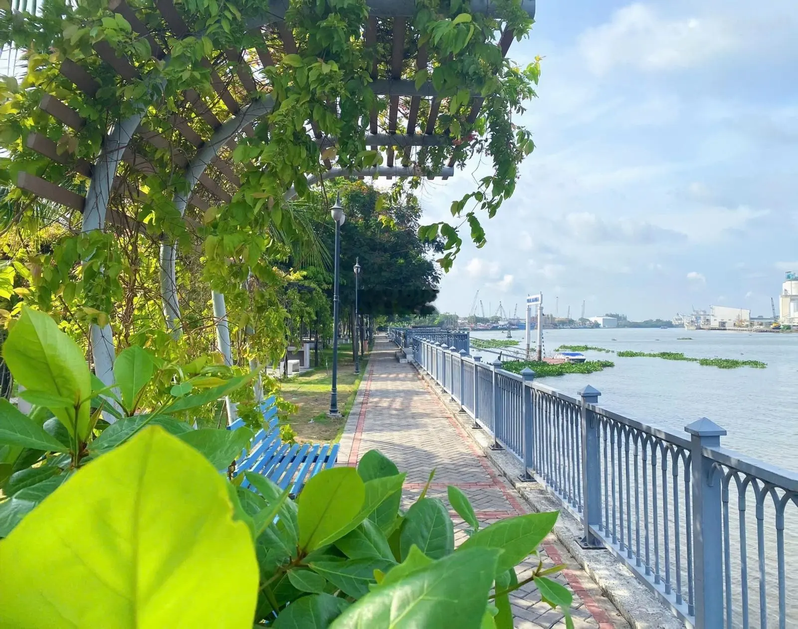 Bán nhà phố mặt tiền view sông Vàm Cỏ - sổ hồng riêng - thanh toán linh hoạt