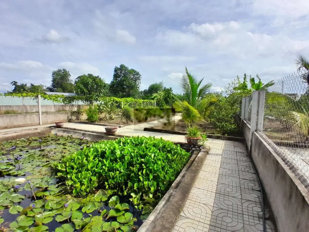 Bán nhà vườn 500m Bình Mỹ Củ Chi đường ô tô tới đất
