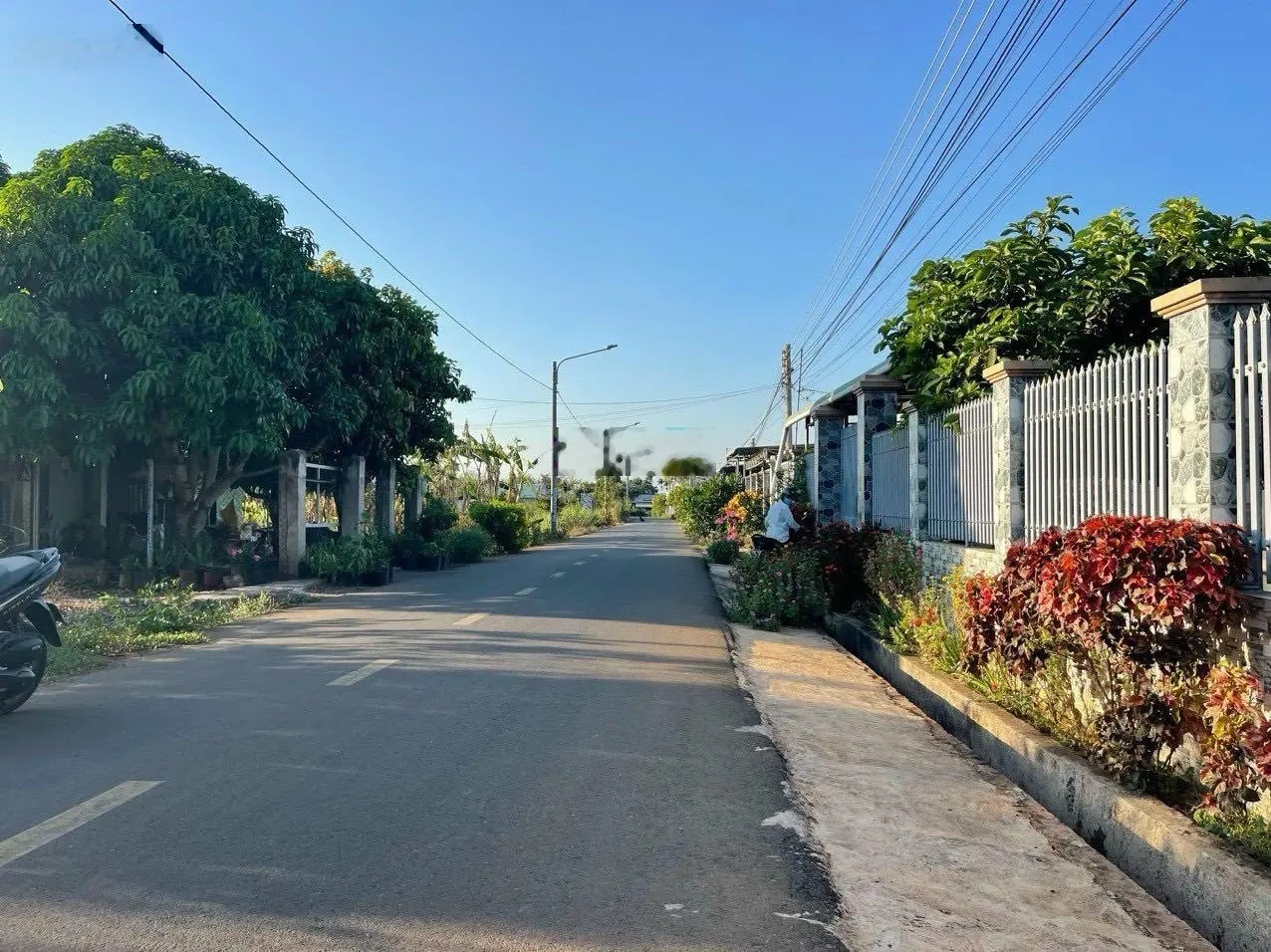 Một lô duy nhất trung tâm thị trấn Đất Đỏ. Cho anh chị làm nhà vườn DT 548m2, 12 x 41m TC 100 m2