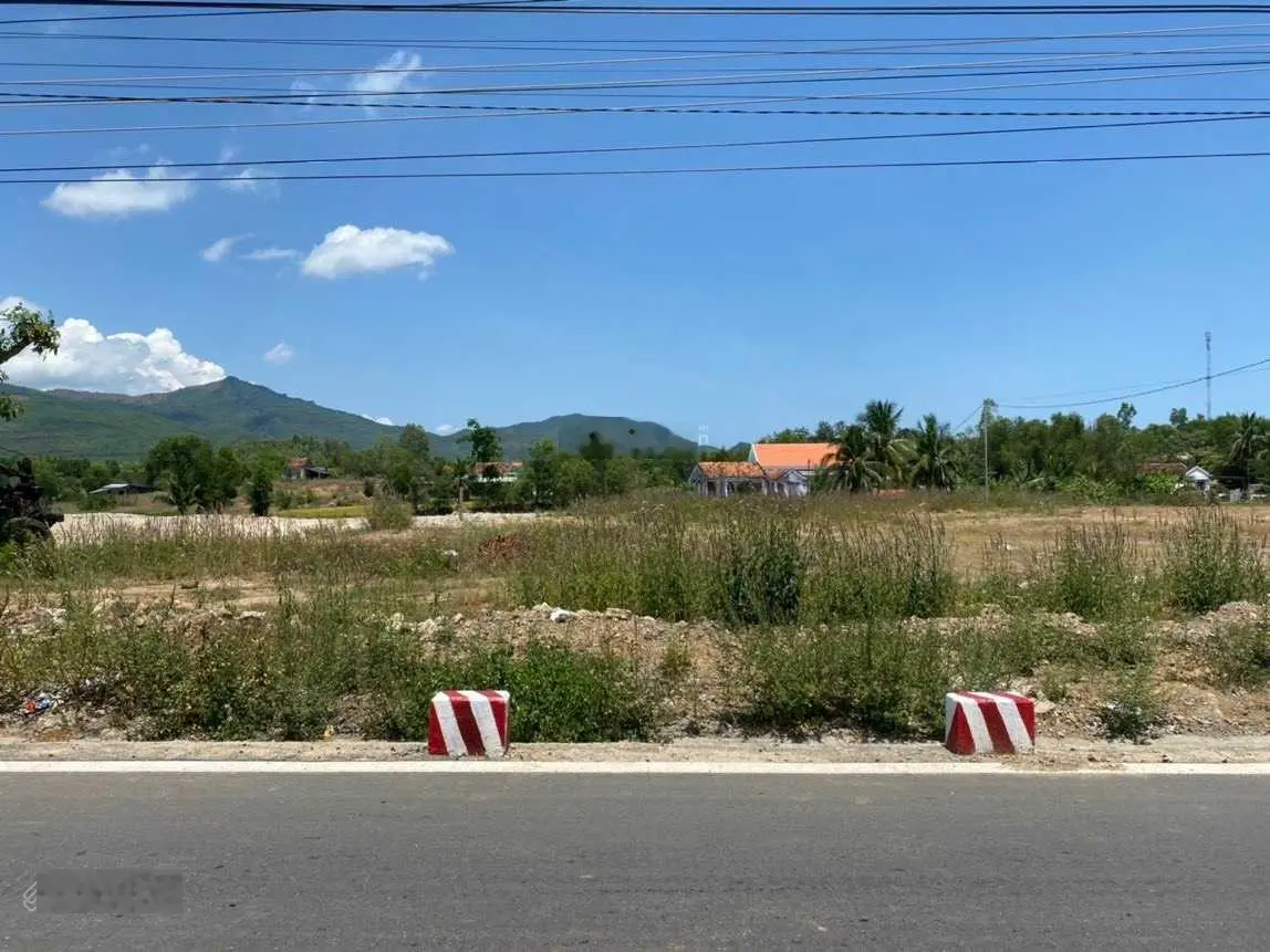 Bán đất thổ cư gần khu DLST hồ Đá Bàn, KCN Ninh Sơn 620ha: Phù hợp làm nhà vườn, kho bãi cho thuê