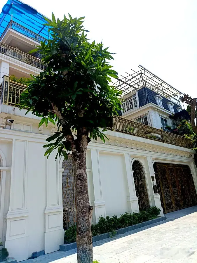 Bán biệt thự vip góc Linh Đàm, Hoàng Mai - kinh doanh đỉnh - 225m2 x 4T - khoảng 60 tỷ