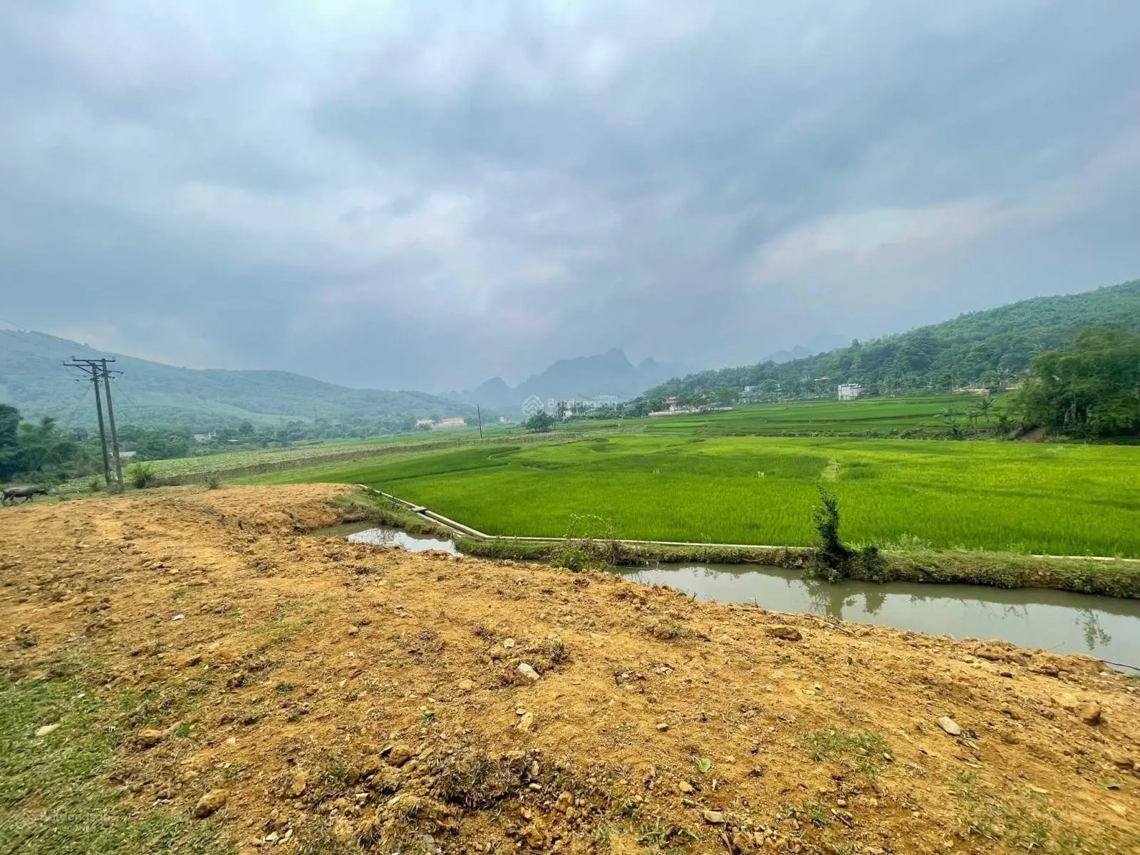 Chính chủ bán 1000m2 xóm Muôn, Kim Bôi, Hòa Bình cách Kim Bôi retreat villa 200m, giá 480tr