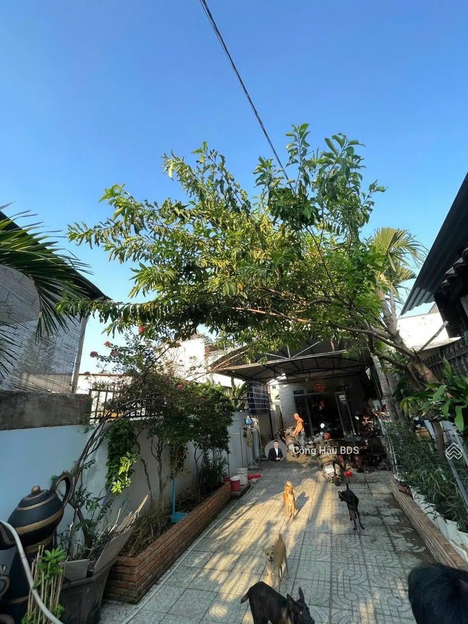 Nhà Trệt- 2 Lầu Gần Ngã Ba Cây Điệp. Tp. Dĩ An. DT: 166M2. Gồm 4 PN- 3WC. Giá: 3.35 Tỷ TL