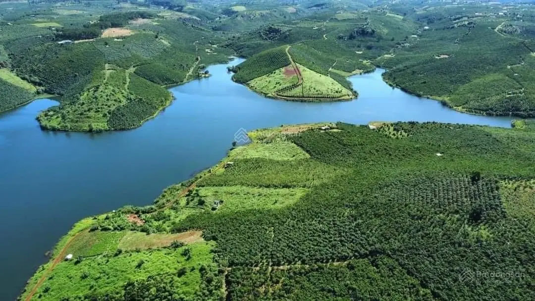 Đất hồ Đaklong Thượng - Lộc Ngãi - Bảo Lâm - Lâm Đồng