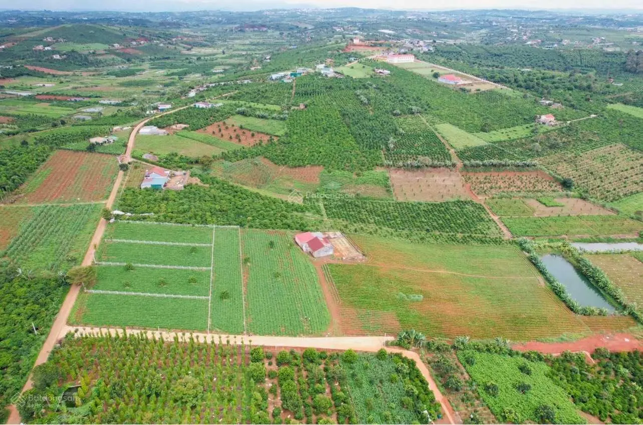 Bán 4,134m2 đất Lâm Hà, đã có 4 sổ, ô tô tránh, view thoáng, xây nhà vườn, hưởng thụ khí hậu Đà Lạt