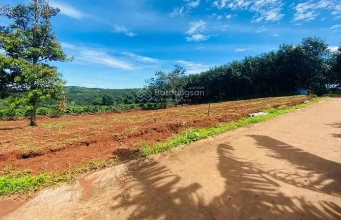 Bán 300m2 đất vườn có 100m2 thổ cư Đồng Phú, Bình Phước