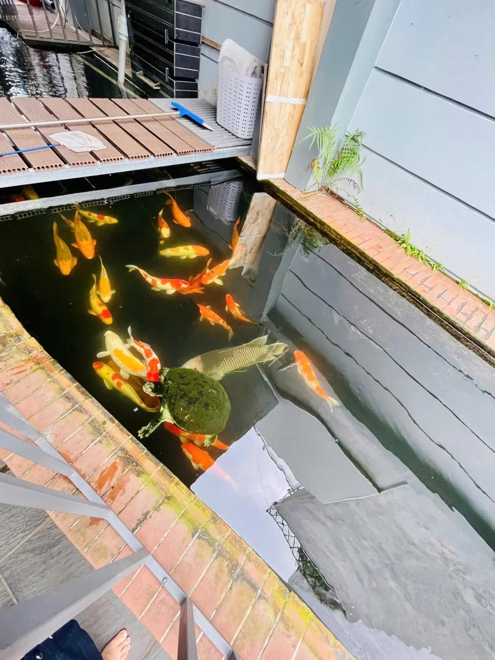 Bán Biệt Thự Đơn Lập KDC Khang Điền, Phước Long B, Thành Phố Thủ Đức. DT: 356,7m2/ 29.8 Tỷ