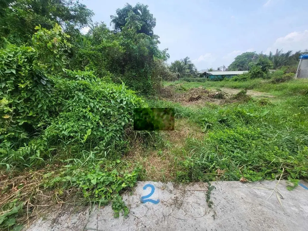 Bán gắp đất thành phố tân an