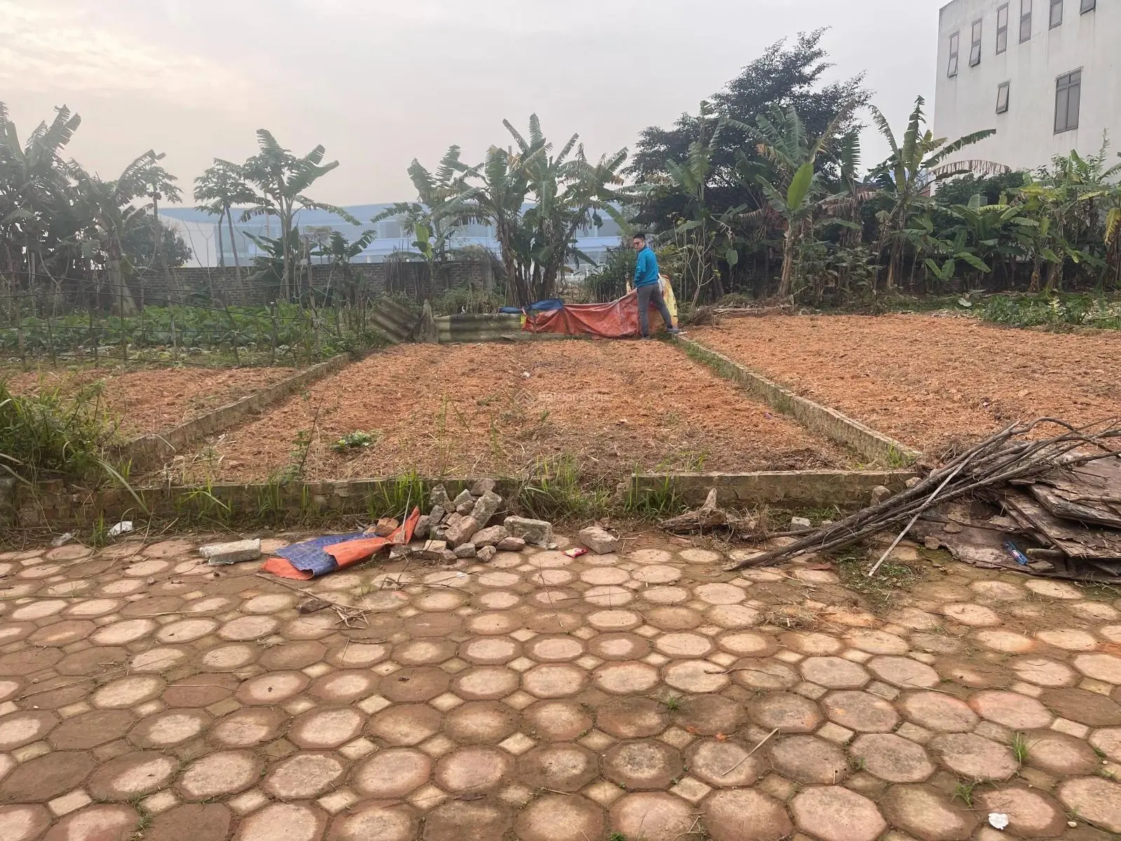 Cắt lỗ 100m2 làn 2 TĐC Hồng Tiến đối diện nhà máy DBG. Có thể kinh doanh tất cả các mặt hàng