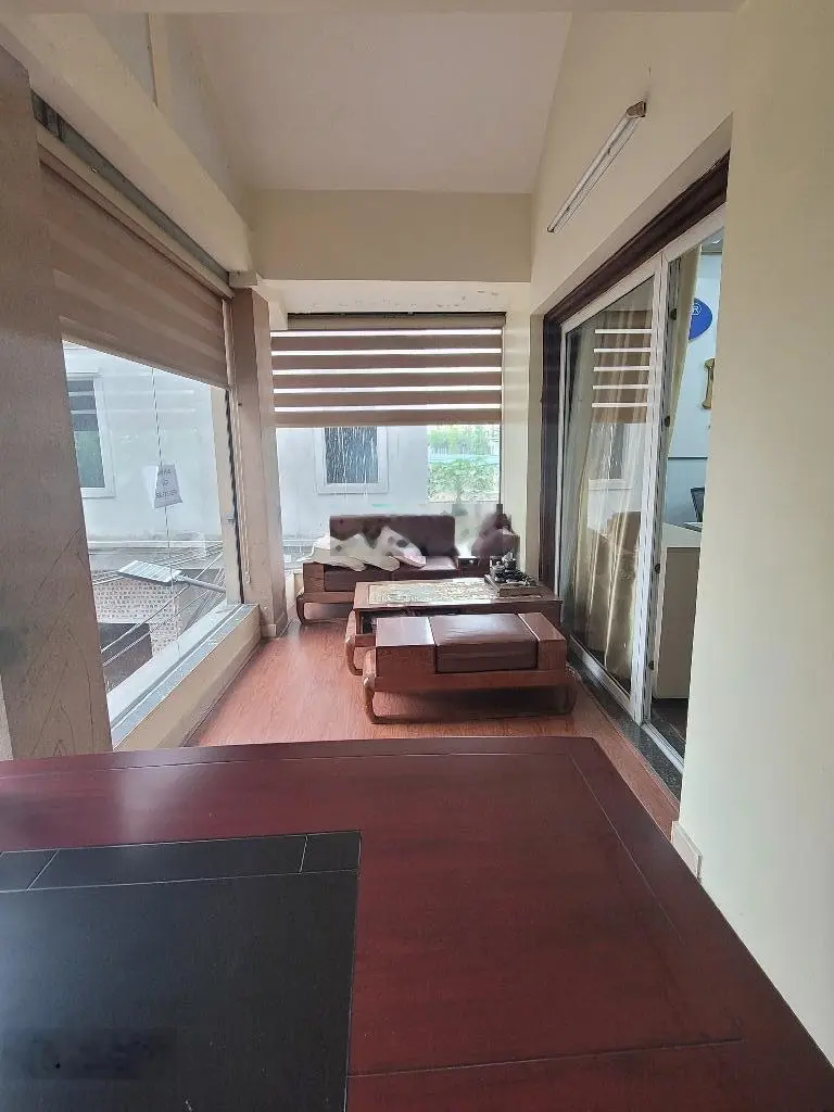 Nhà Ngô Xuân Quảng 102m dân xây ô chờ thang máy ô tô vào nhà, giá 11 tỷ cách cầu Vĩnh Tuy 5P lái xe