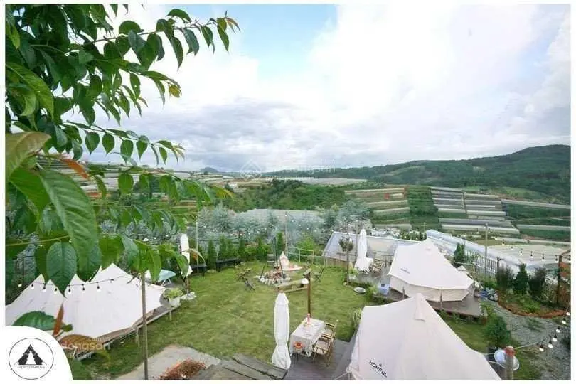 Nhượng lại khu Glamping view đèn lồng tại TP Đà Lạt, cạnh Chika farm