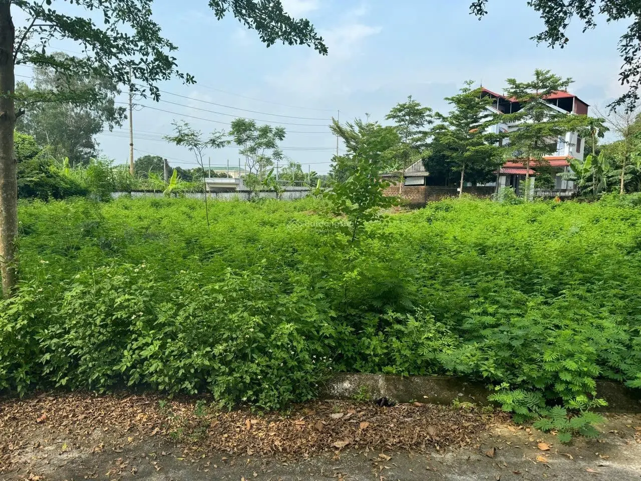Bán nhanh lô 73.2m2 Thái Bình, Bình Yên, Thạch Thất, giá 25tr/m2, Call Em Anh: 0988 412 ***