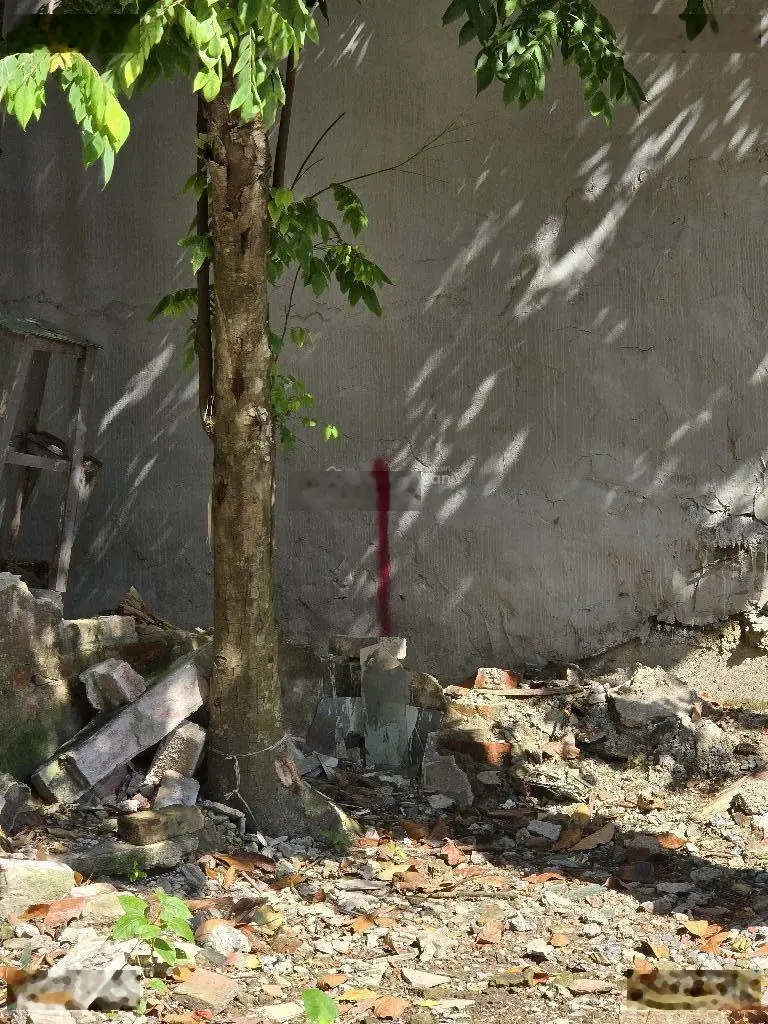 Bán đất Đông Ngạc trong đê, 54m2, sổ chính chủ, chỉ hơn 3 tỷ đồng.
