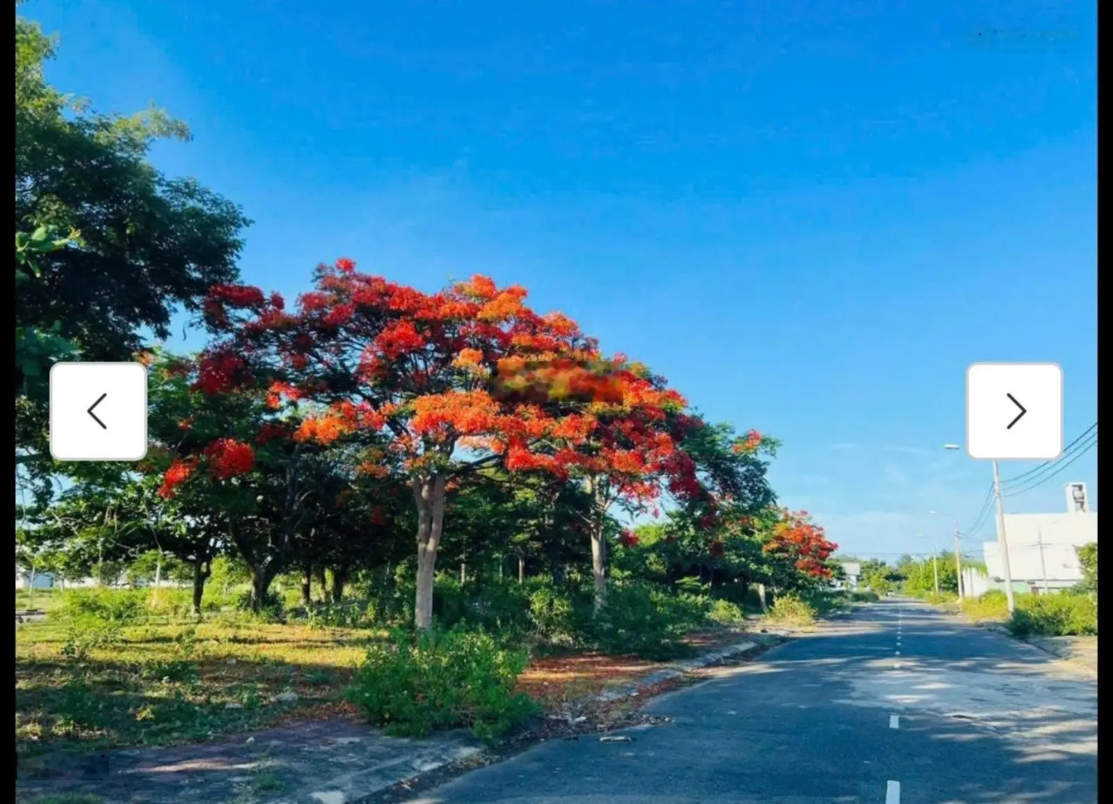 Cần bán gấp lô đất biệt thự khu đô thị Green City, đối diện công viên S 140m2, giá cực
