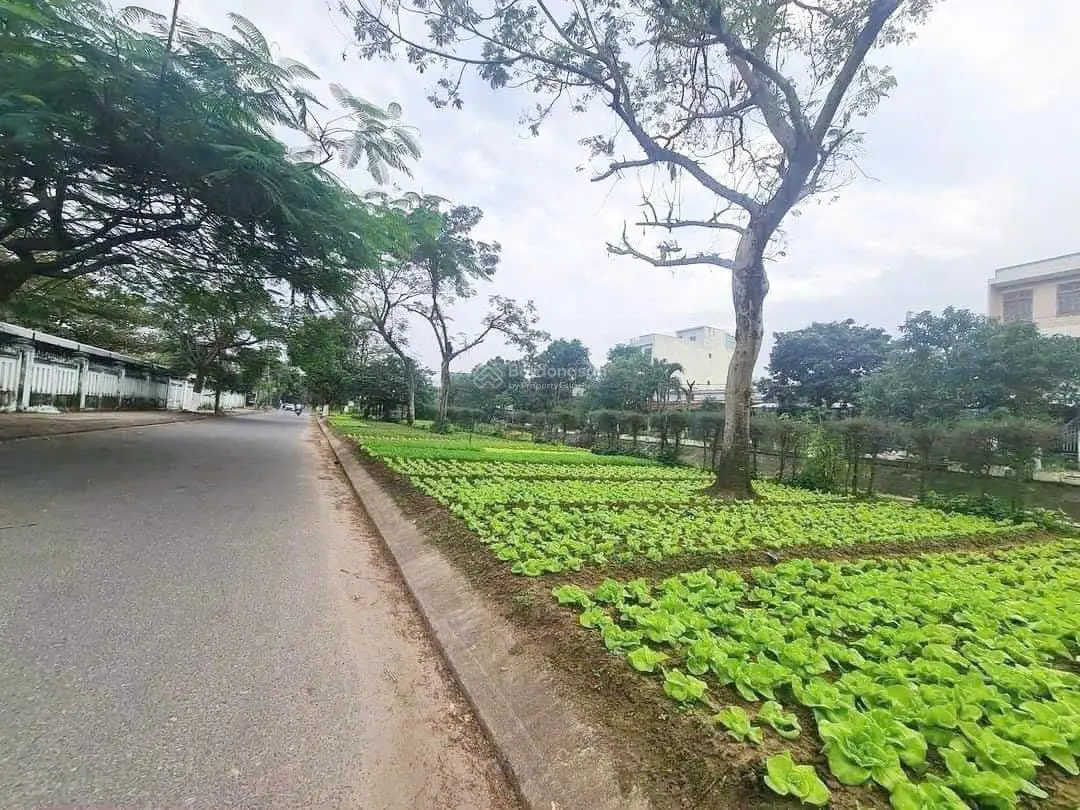 Bán nhà 3 tầng 3 mê đúc, view kênh mặt tiền Chúc Động, Hoà Minh, giá chỉ 4,45 tỷ thương lượng