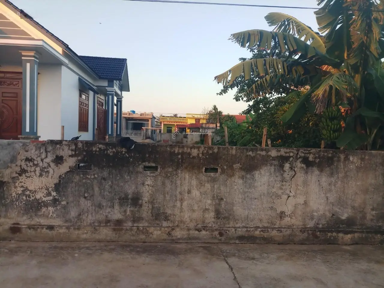 Bán đất chính chủ Thái Thụy, Thái Bình, diện tích 270,5 m2