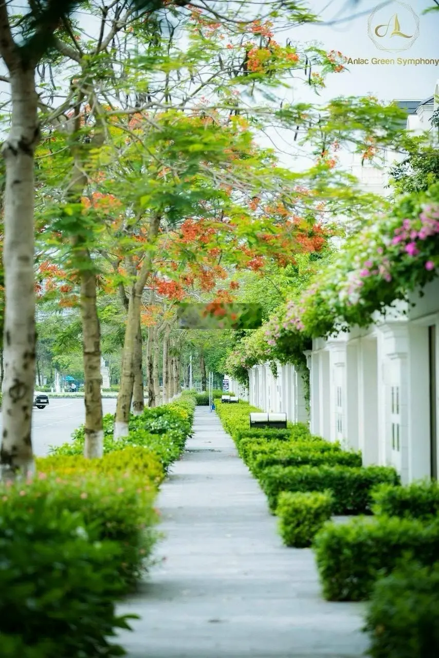 Bán biệt thự góc 5PN 5WC tại An Lạc Green Symphony, Hoài Đức, giá tốt chỉ với 161 triệu / m2