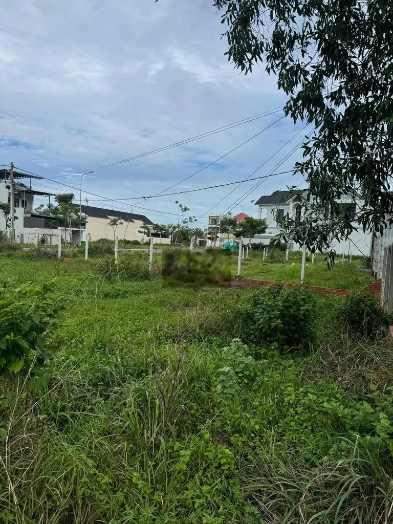 cần bán 1 mẫu đất mặt tiền trần văn trà xã tân bình