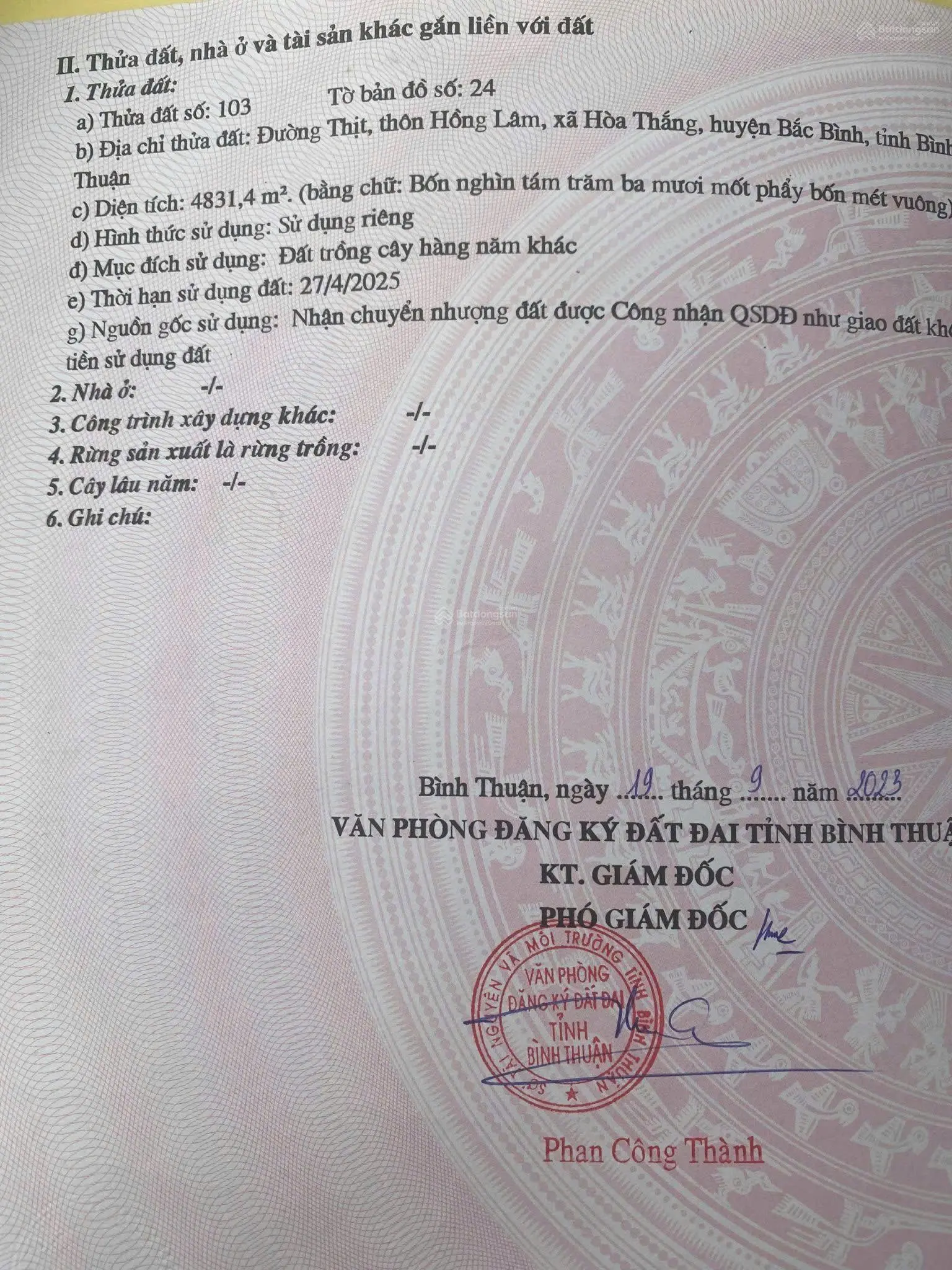 1tr2/m2 mô hình nhà vườn khép kín công nghệ cao khu vực Farm Hoà Thắng,canh tác 3 năm,lấy quả ngây