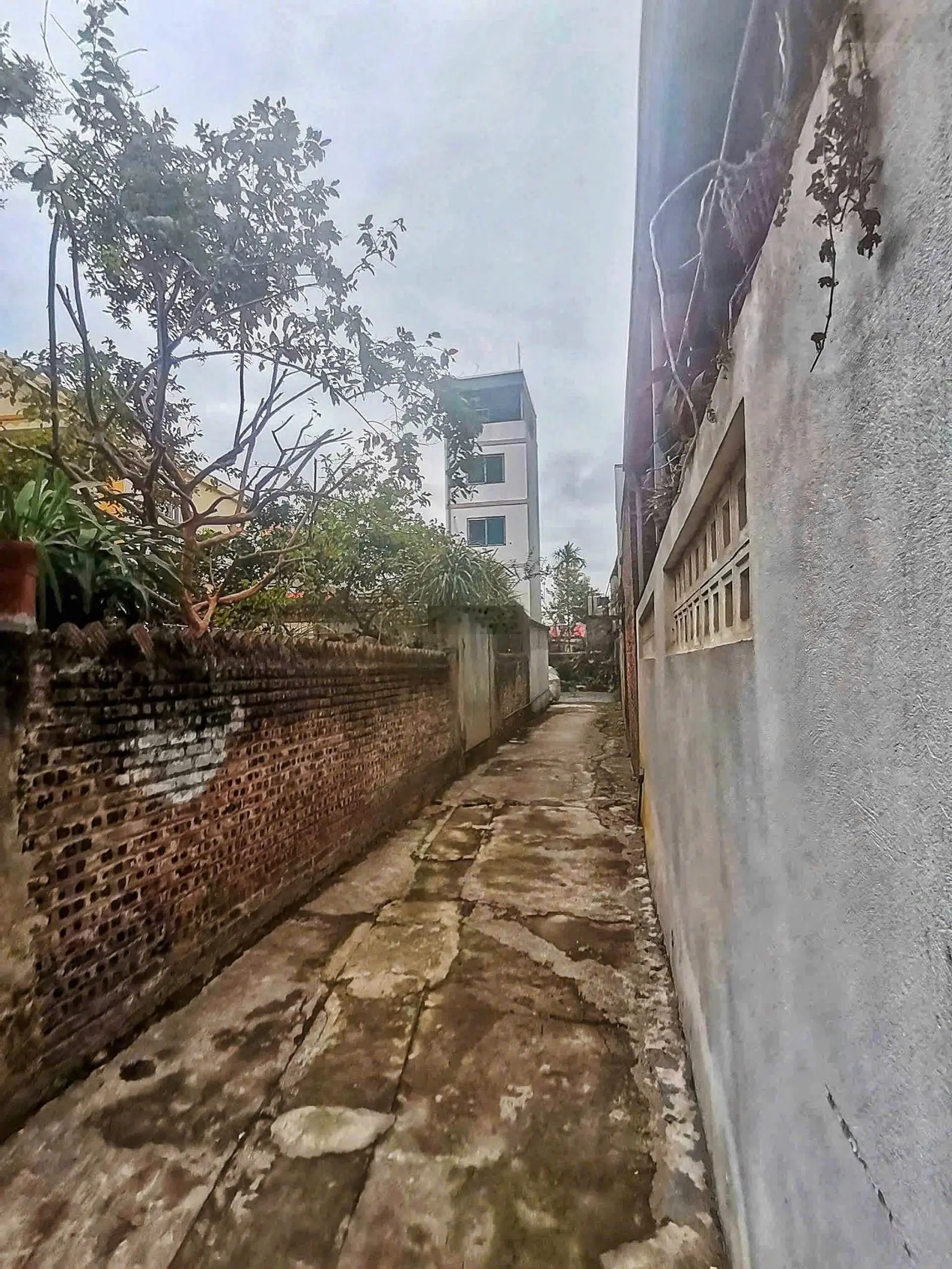Bán nhà đường liên xã chân dự án cầu vượt đường sắt.