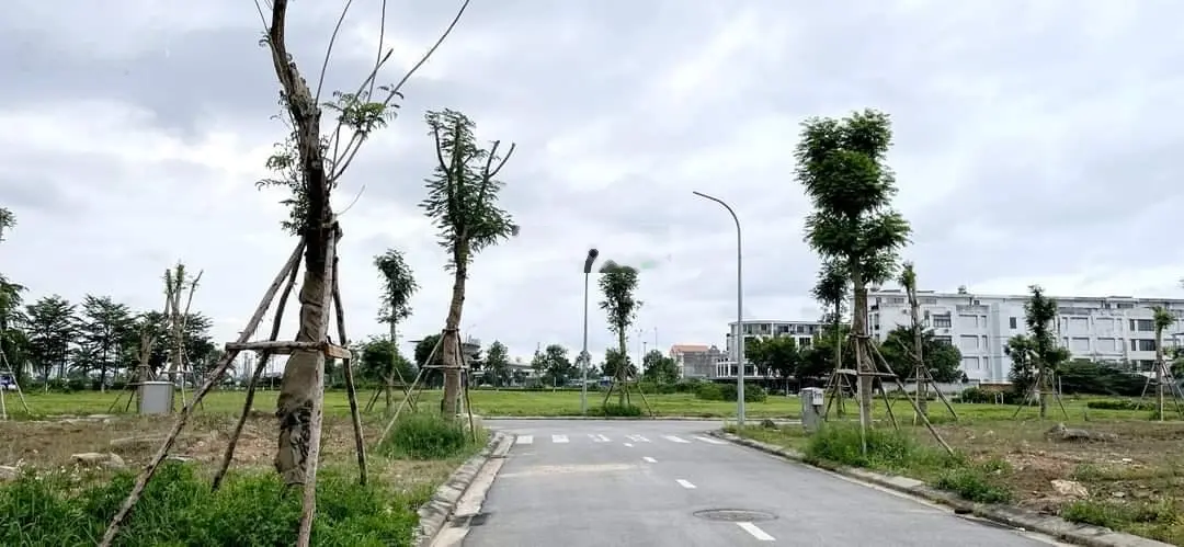 Sở hữu lô hướng Đông sạch đẹp, trục đường lớn, vỉa hè 5m, giá cực rẻ