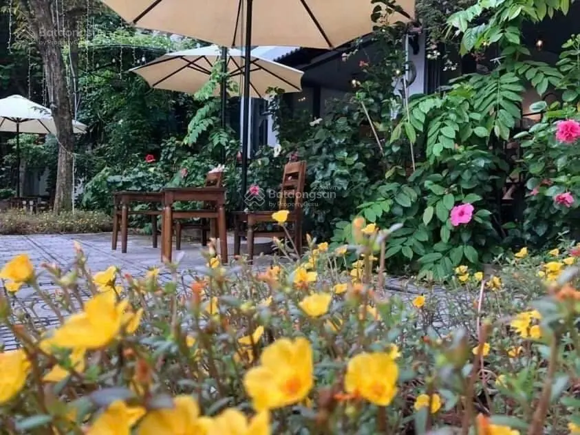 Bán nhà lô góc Trung Kính, Mạc Thái Tổ 29,9 tỷ