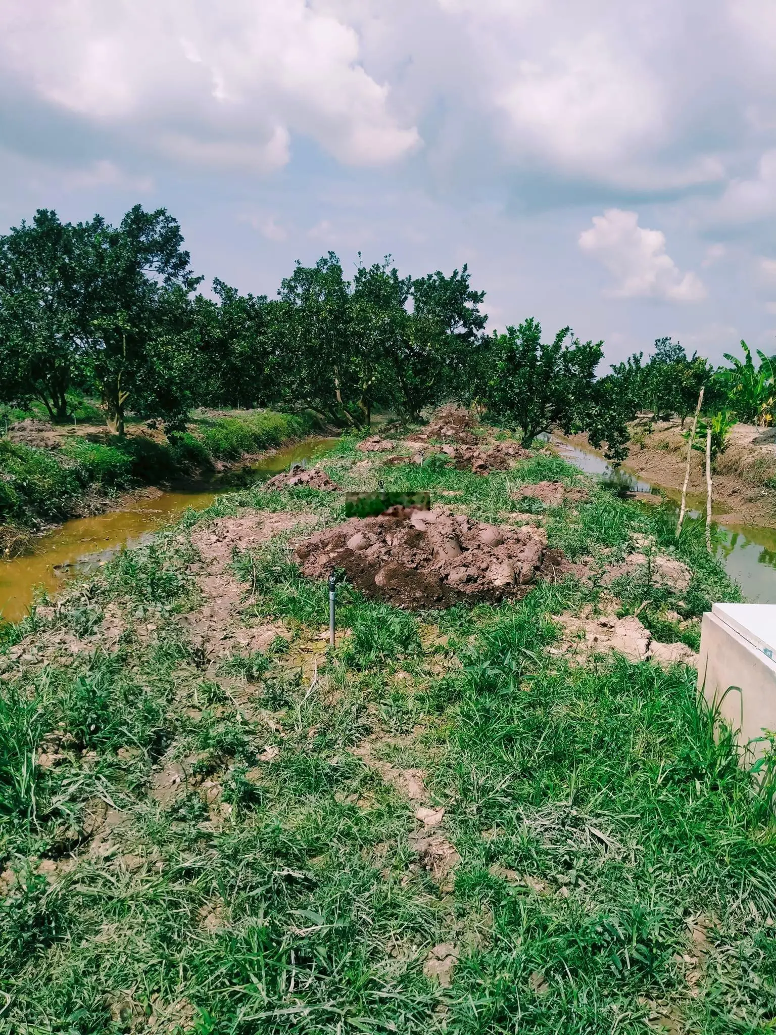 Khu sinh thái du lịch với 10.199m2 rất thích hợp cho người mê vườn cùng 600m2 thổ cư