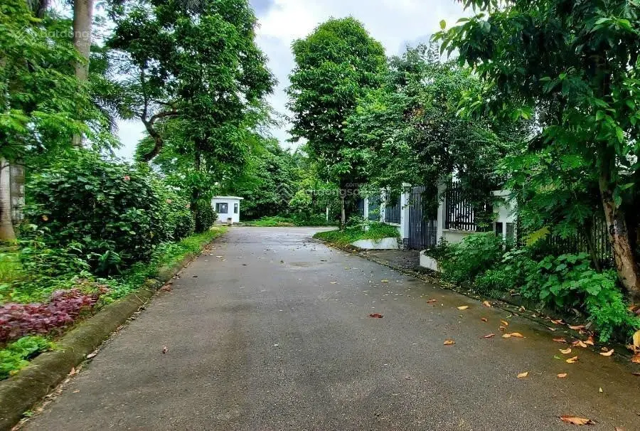 Biệt thự căn góc, liền thửa Đông Anh, giá sốc. Gọi chính chủ trang bìa!