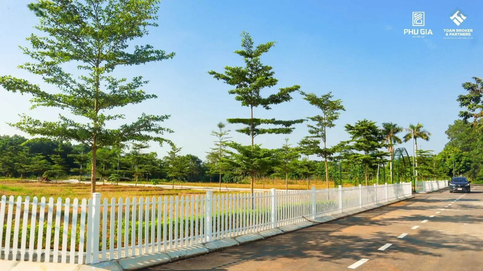 Em trai cần tiền nhờ bán 240m2 giá hơn 10tr/m2 khu biệt thự Phú Gia, Phú Mãn, Quốc Oai Hòa Lạc