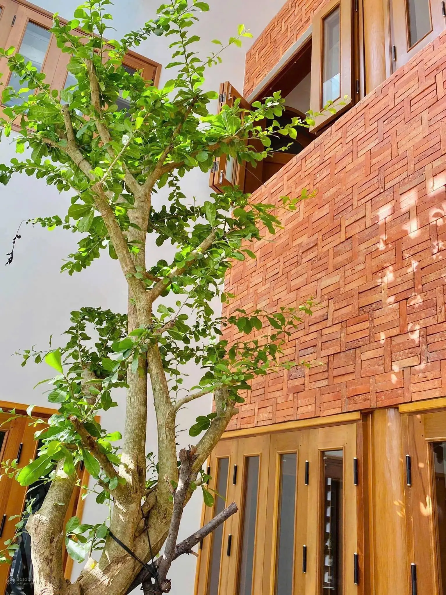 Siêu phẩm tầm trung đẹp không tì vết nằm ngay Lý Thái Tổ, Q10/ 3 tỷ 2/ 50m2 SHR. HĐT 14tr/th