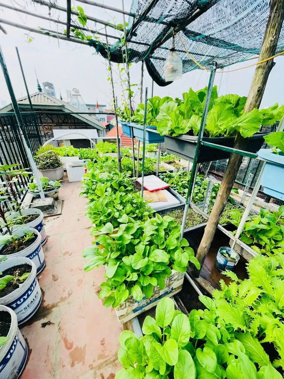 Bán nhà dân xây 4 tầng gần Nhổn, NTL - lô góc 3 thoáng - cực gần ô tô - 5.2 tỷ