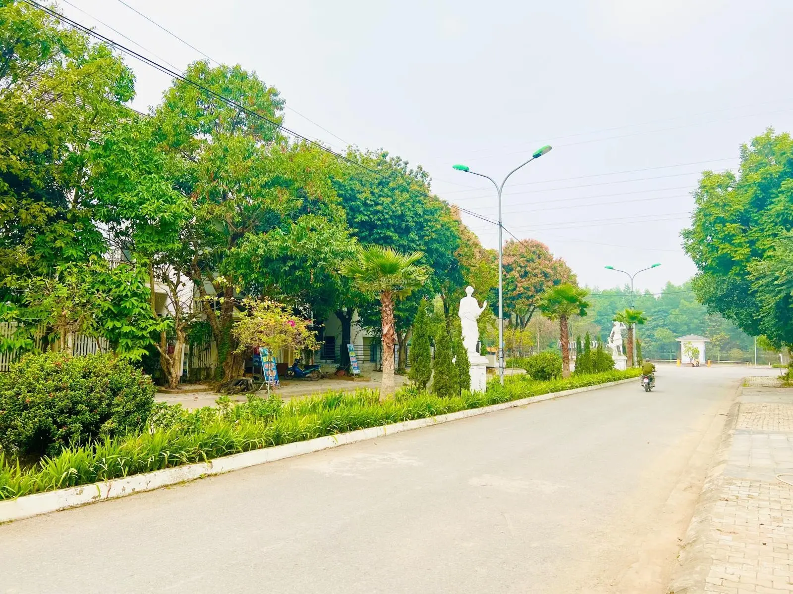 Bán biệt thự 290m2 giá đất chỉ 50tr/m2 quá rẻ. Làm việc chính chủ. Liên hệ 0962 204 ***
