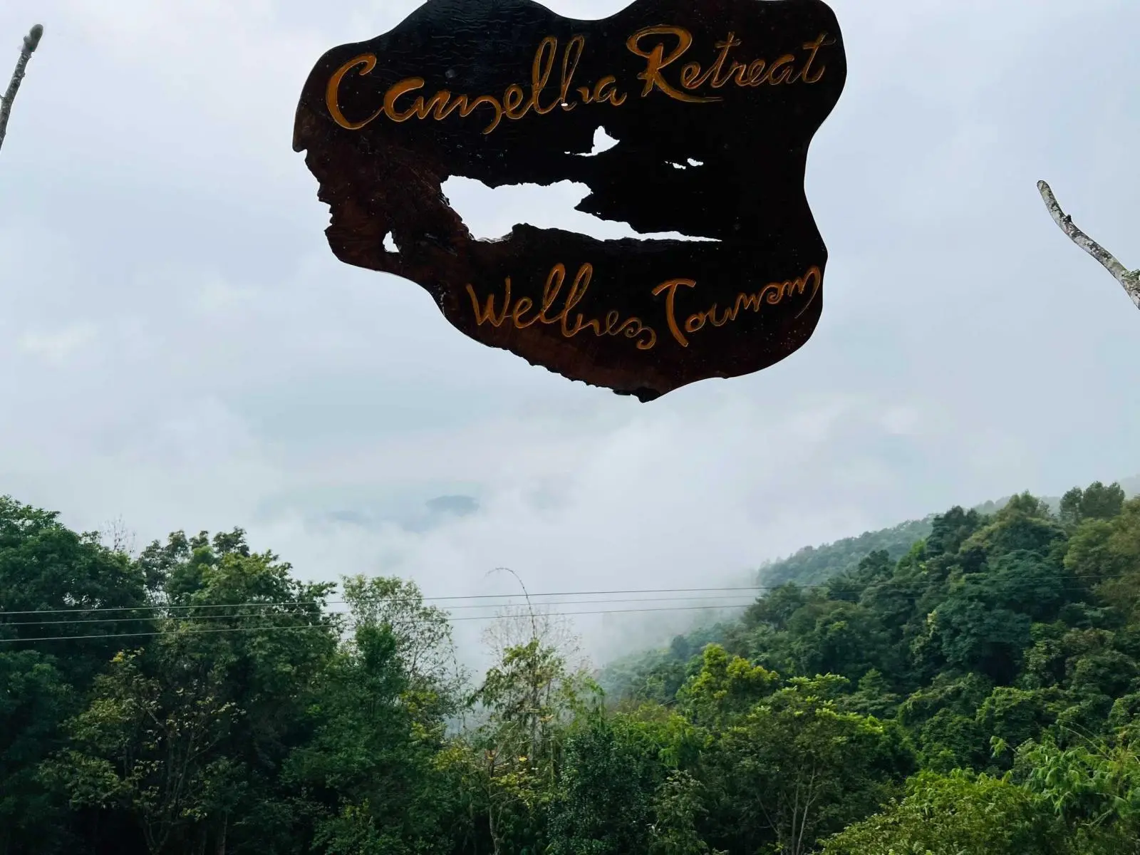 Bán homestay Camelia Cao Phong, Hòa Bình DT 2.5ha, 2.5 tỷ. 0986 649 ***