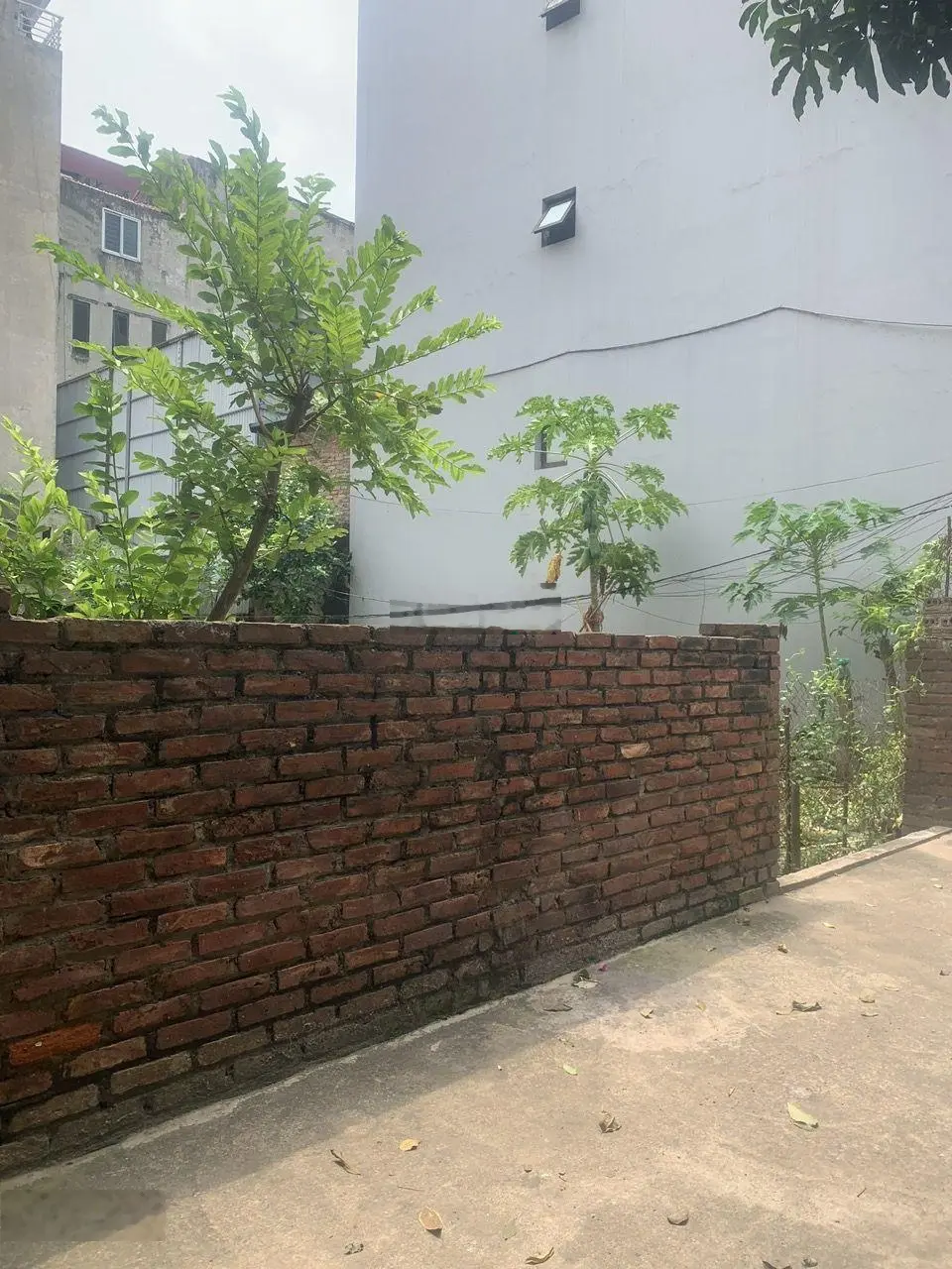 Nhỉnh 9 tỷ mua nhanh không mất lượt, bán đất Âu Cơ, ngõ cực nông, ô tô đỗ cửa, 10m ô tô tránh