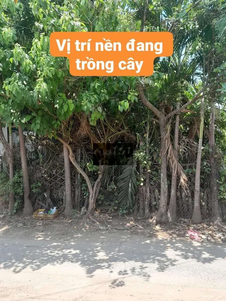 Đất nhà ở khu dân cư