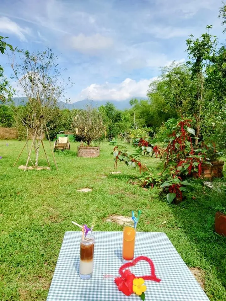 Cần bán 23.000m cây lâu năm sát suối làm nhà vườn, trang trại vị trí rất đẹp tại xã Hoà Ninh giá rẻ