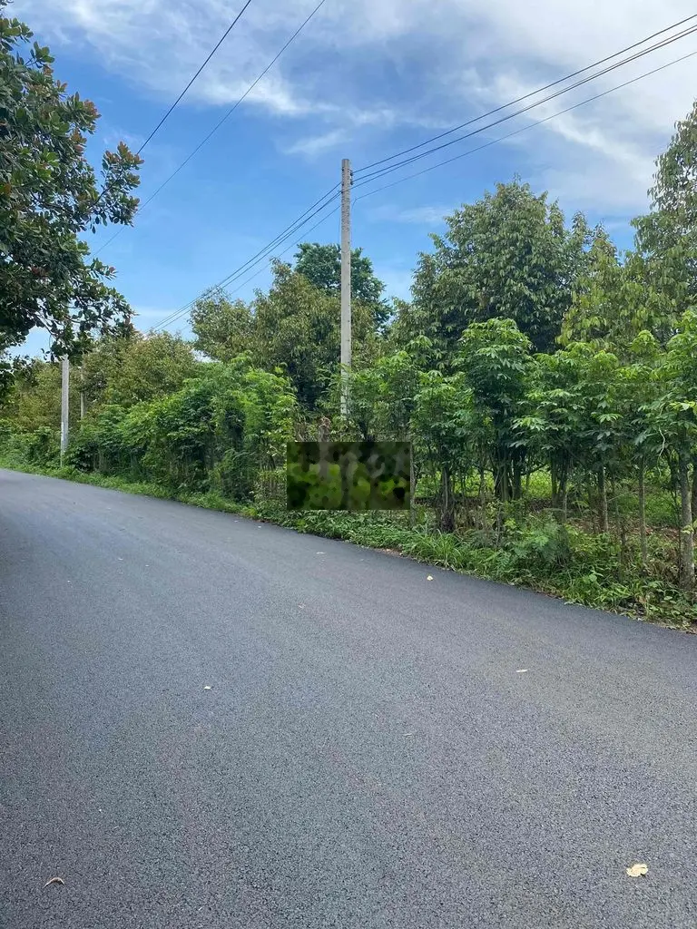 Đất vườn châu đức.