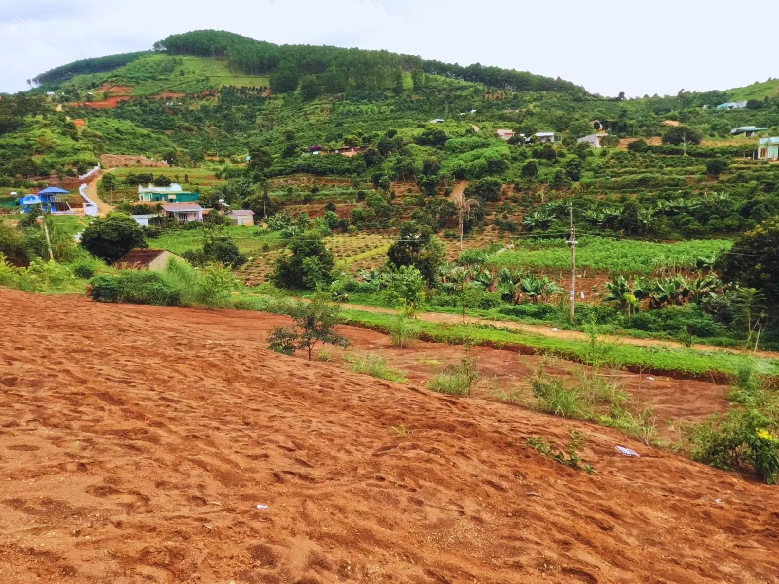 Chính chủ bán đất Lâm Hà view Đồi Thông, 10x44.8m, vị trí trung tâm Nam Ban, cách Đà Lạt 7km