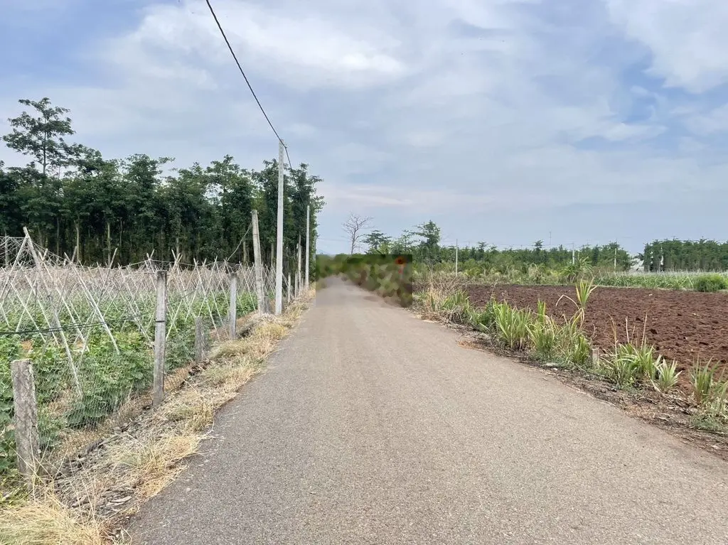 BÁN VƯỜN TRÁI CÂY VIEW HỒ LỚN XUỐI RAO - CHÂU ĐỨC