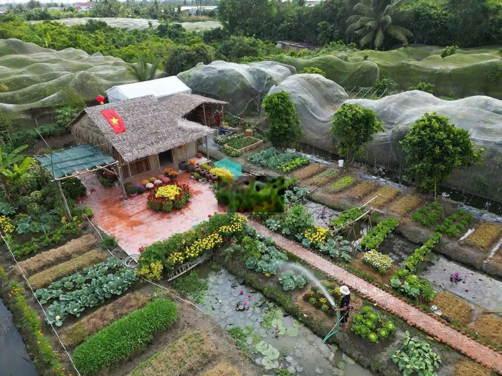 Cần bán lô đất ngõ 244.7 văn cao