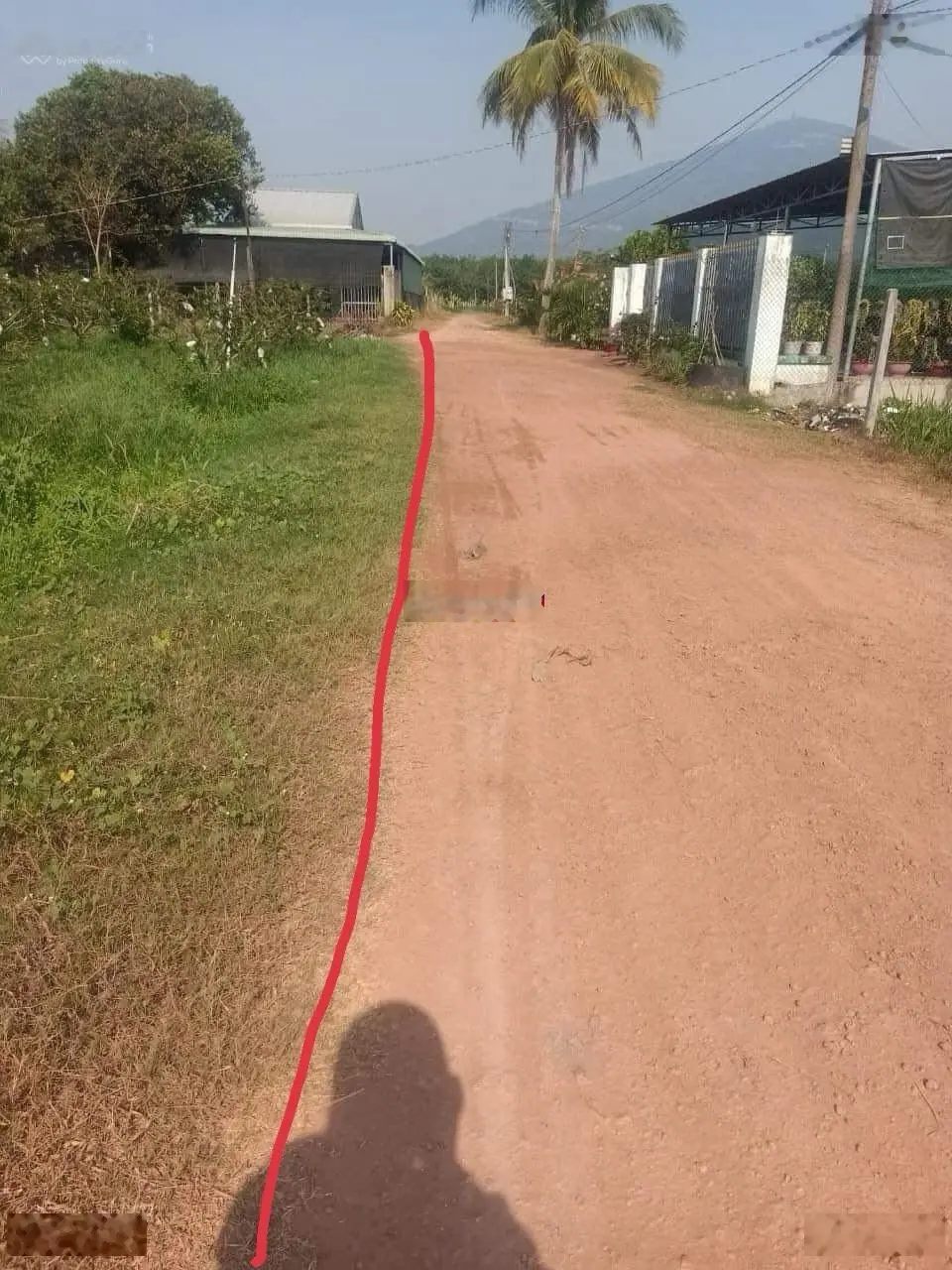 Kinh tế khó khăn tôi bán nhanh 2 mảnh vườn mãng cầu 515m2 ở trung tâm TP view Núi Bà, đường QH nhựa