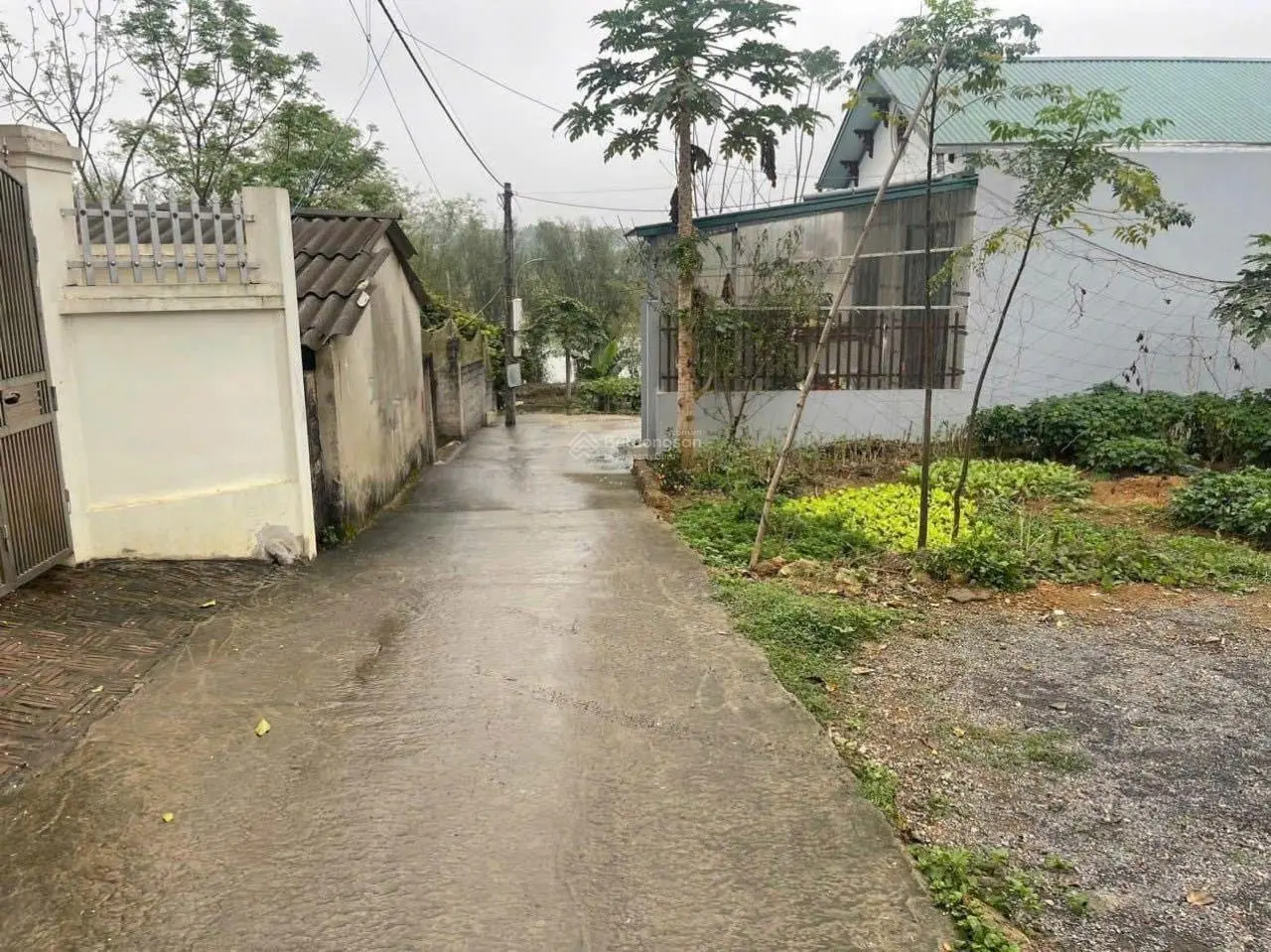 Cần bán lô đất S=121m2 (6,25m x 6,55m) giá đầu tư, đất vuông vắn, cách chợ, trường học (150m)