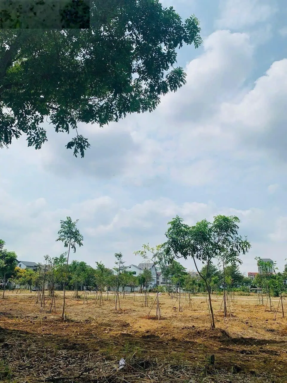 Bán lô biệt thự đơn khu dân cư Khang Điền, Phước Long B, DT: 302m2/19 tỷ